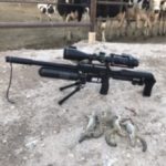 Profile picture of John T