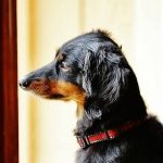 Profile picture of TERRY