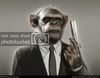 Profile picture of chimp