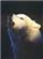 Profile picture of whitewolf