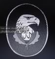 Profile picture of relay