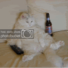 Profile picture of smokeyjoe