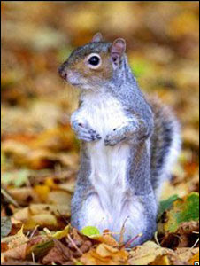 Profile picture of javasi