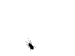 Profile picture of spukke