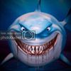 Profile picture of poolshark57