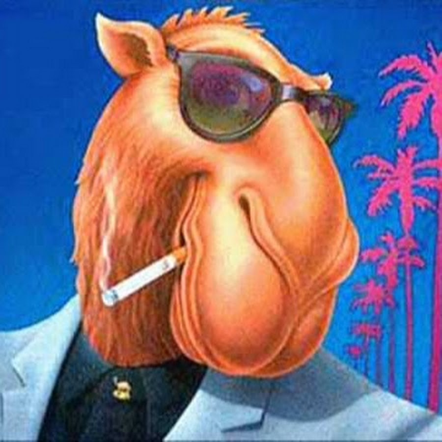 Profile picture of jethro