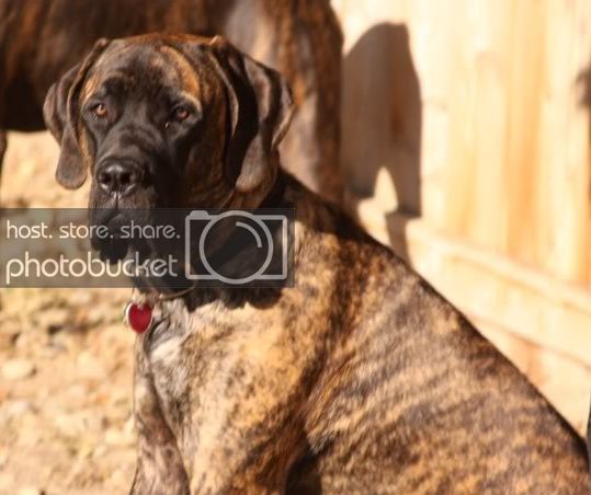 Profile picture of btango05