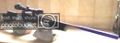 Profile picture of palguns1