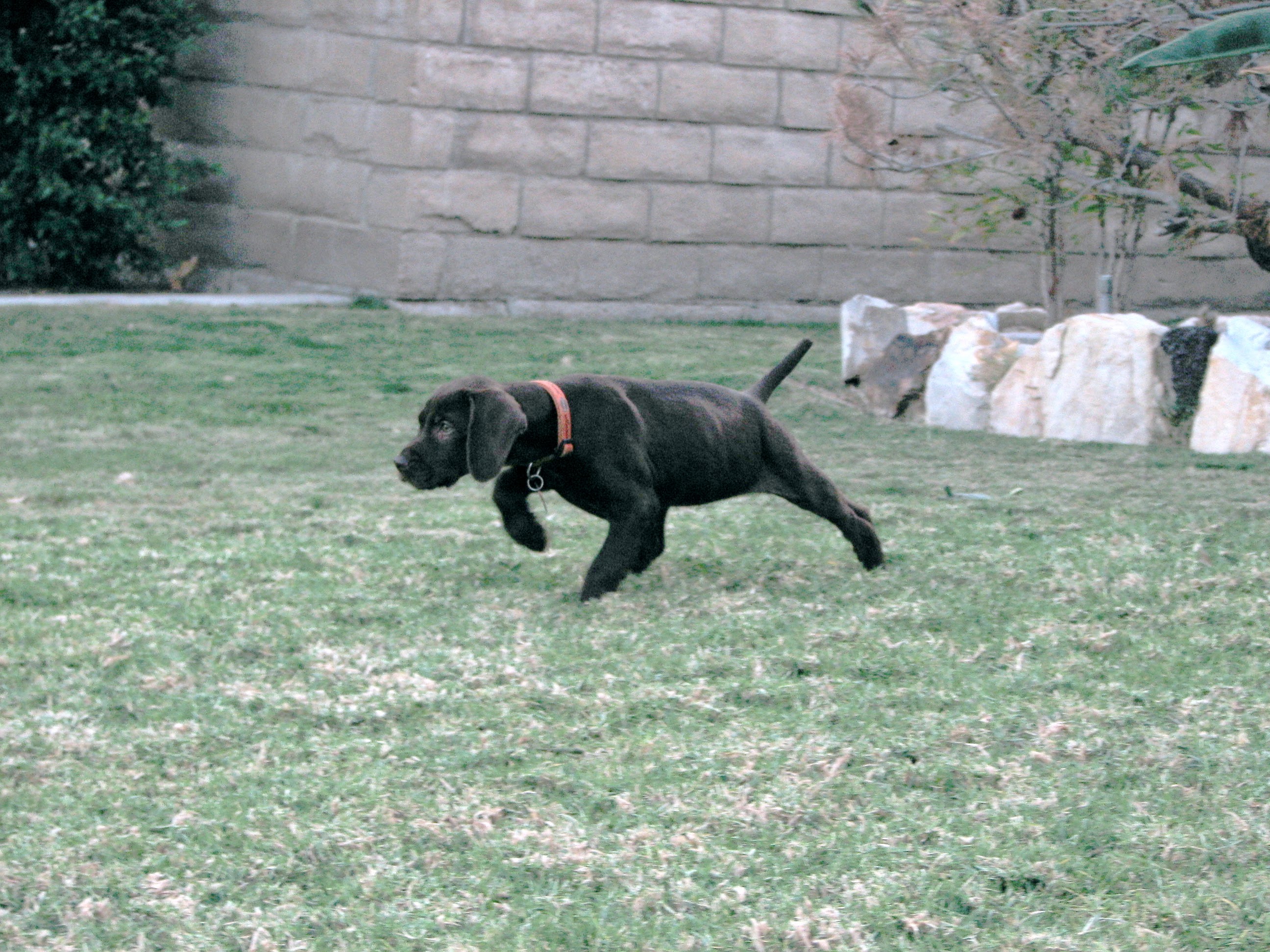 Profile picture of keyser-soze