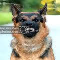 Profile picture of lijian
